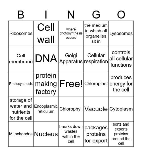 Cells and organelles Bingo Card