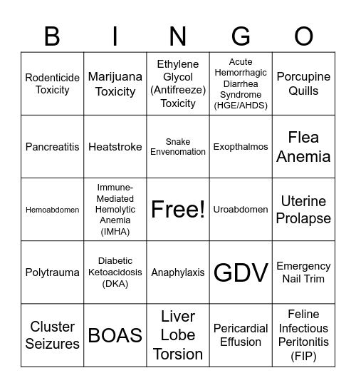 SVECCS Bingo Card