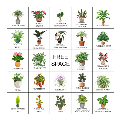 PLANT BINGO Card
