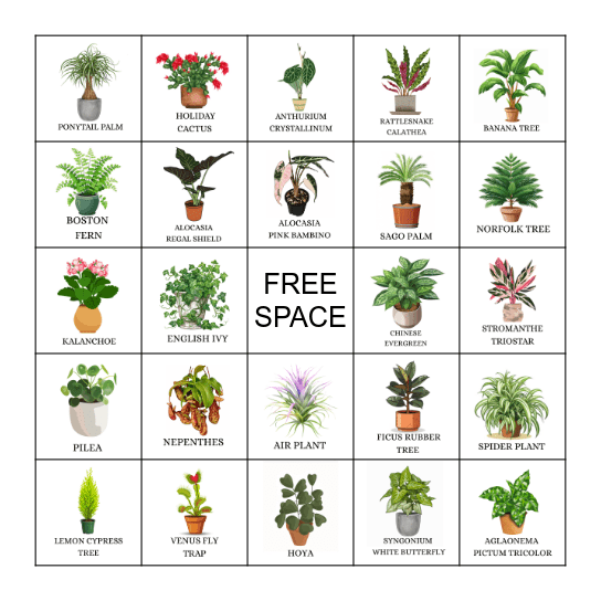 PLANT BINGO Card