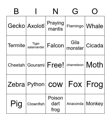 Animal Classification BINGO cards Bingo Card