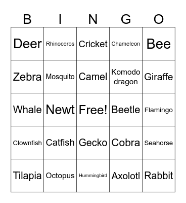 Classification of Animals BINGO Cards Bingo Card