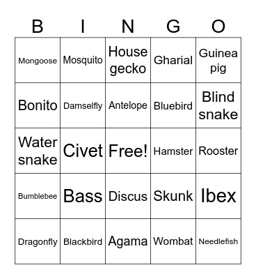 classification of animals BINGO cards Bingo Card