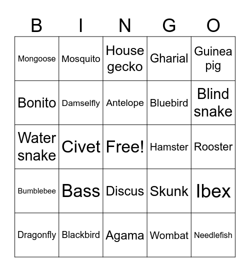 classification of animals BINGO cards Bingo Card