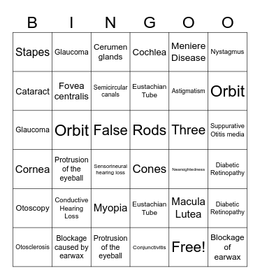 Special Senses Review Bingo Card