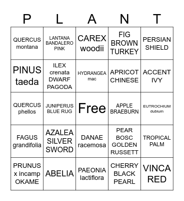 Colesville Bingo Card