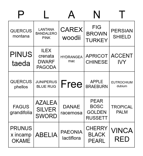 Colesville Bingo Card