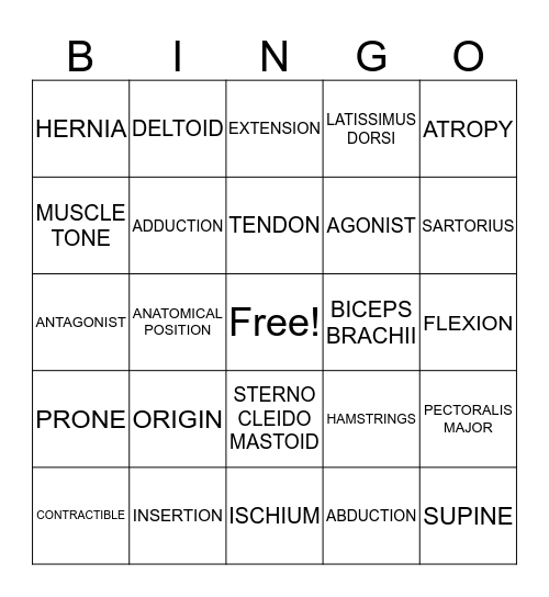 ISM Chapter 10 - THE MUSCULAR SYSTEM Bingo Card