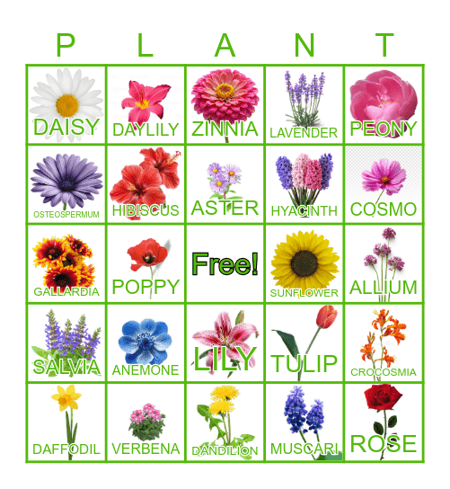 FLOWER Bingo Card