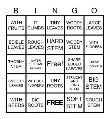 CHARACTERISTICS OF PLANTS Bingo Card