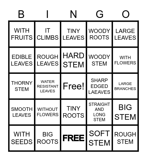 CHARACTERISTICS OF PLANTS Bingo Card