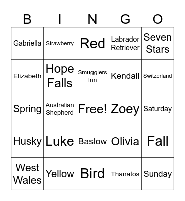 My Husband's Wife Bingo Card