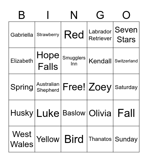My Husband's Wife Bingo Card