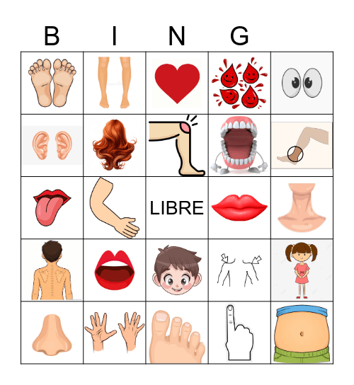 Partes del Cuerpo Bingo Card