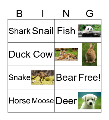 Animals  Bingo Card