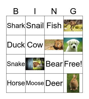 Animals Bingo Card