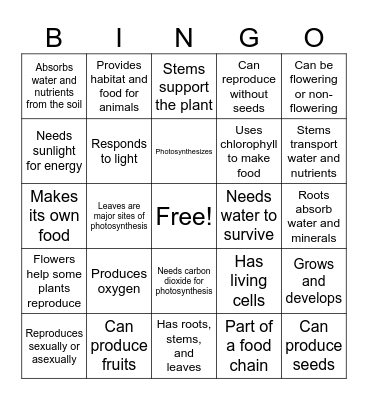 PLANT CHARACTERISTICS Bingo Card