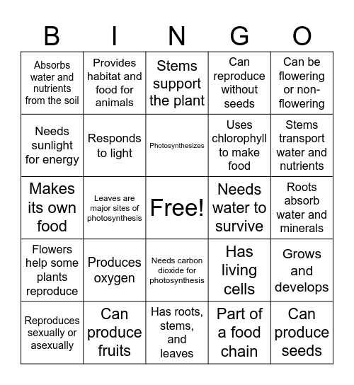 PLANT CHARACTERISTICS Bingo Card