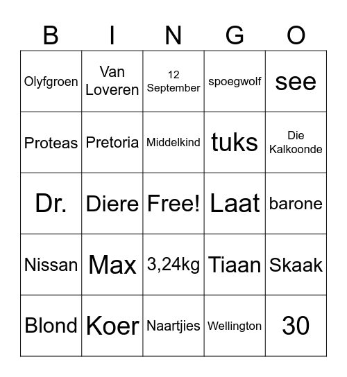 Zandri Bingo Card