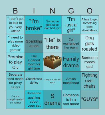 Family Bingo Card