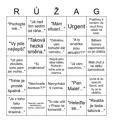 ŽůženaGO Bingo Card