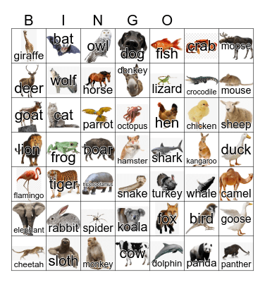 Animals Dinat Bingo Card