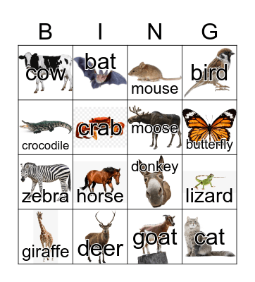 Animals Dinat Bingo Card