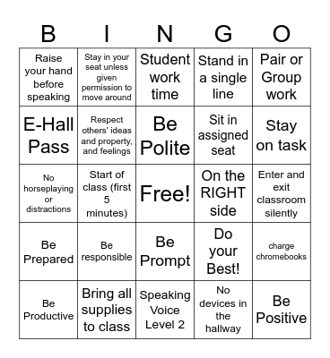 School-wide and Classroom Expectations BINGO Card