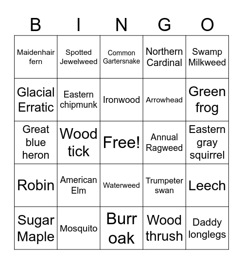BWBR summer 2026 Robert Ney Bingo Card