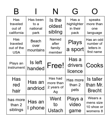 Ice breaker 1 Bingo Card