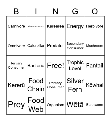 Ecology Bingo Card