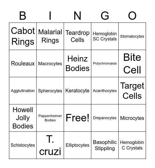 Morphology Bingo Card