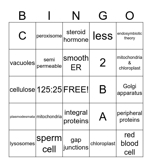 Cell Structure and Function Bingo Card