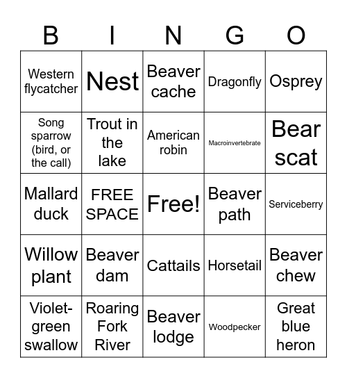 Wetlands Bingo Card