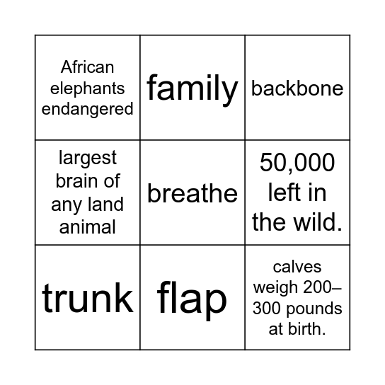 Elephant Bingo Card