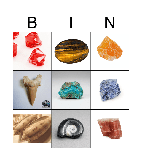 Rutgers Geo Bingo Card