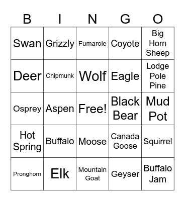 Yellowstone Bingo Card