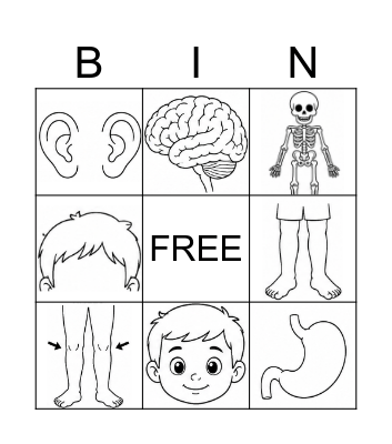 BODY PARTS AND ORGANS Bingo Card