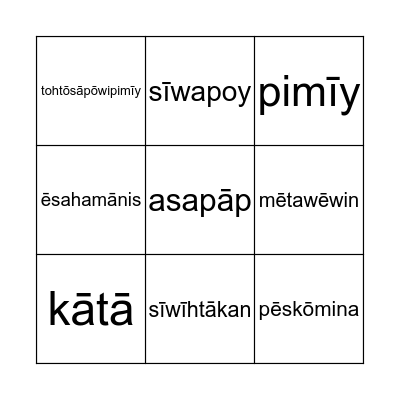 TSEC Language Camp Bingo Card