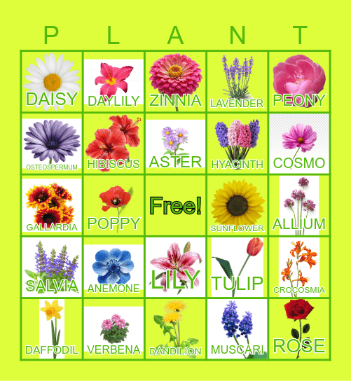 Sassy FLOWER Bingo Card