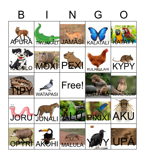 BINGO COM IMAGENS E NOMES DE ANIMAIS NA LINGUA MATERNA Bingo Card
