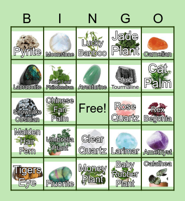 Plant and Crystal Bingo Card