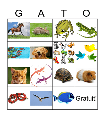 Les animaux domestiques Bingo Card