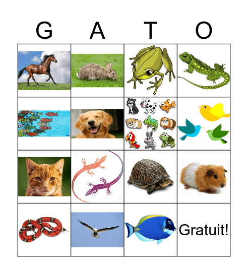 Les animaux domestiques Bingo Card