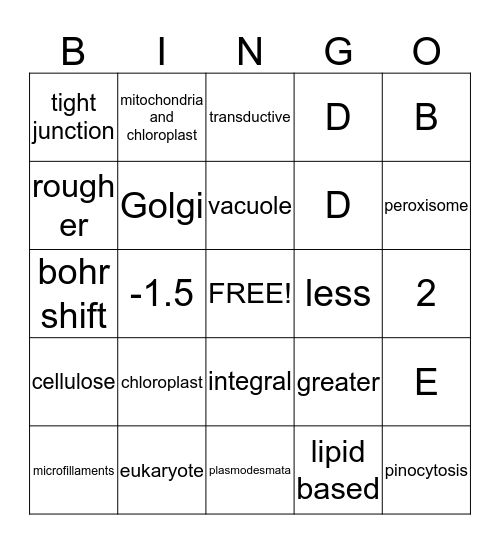 Cell Structure and Function Bingo Card