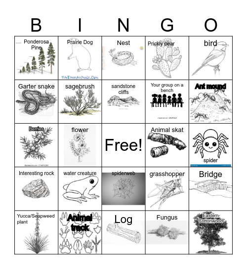 Run Club Nature Adventure Bingo Card