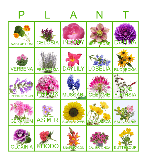 FLOWER Bingo Card