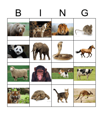 Animals 2.0 Bingo Card