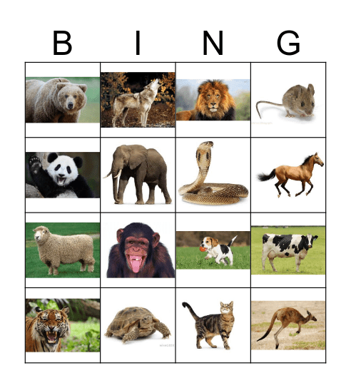 Animals 2.0 Bingo Card