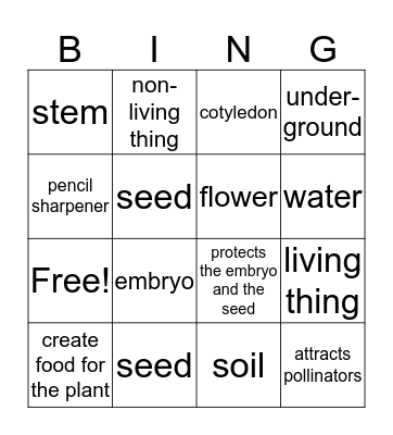 What do Plants Need?  Bingo Card